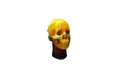 TPS - Customizable Adult Head Phantom