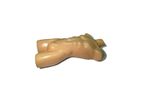 TPS - Adult Human Torso Phantom for R&D