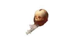 TPS - Dynamic Newborn Head for R&D