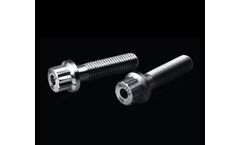 Hasm - 12 Point Flange Screws