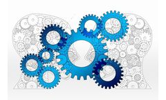 Software Development Services