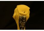 Bonutti TRANSET - Fracture Fixation System