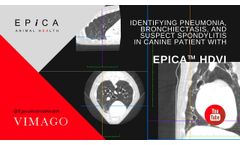 Identifying Pneumonia, Bronchiectasis, and Suspect Spondylitis in Canine Patient with Epica HDVI - Video