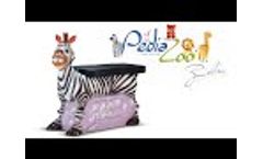 zebra masa İNG - Video