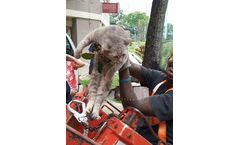 Mastermark - Animal Rescue Services