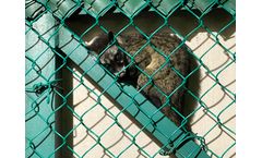 Mastermark - Wildlife Monitoring Service