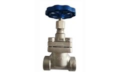 Valvesonly - Cryogenic Short Stem Globe Valve