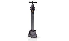 Valvesonly - Cryogenic Long Stem Globe Valve