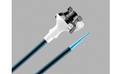 Flexor - Ureteral Access Sheath