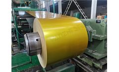 Wanzhi Steel - PPGL Steel Coil