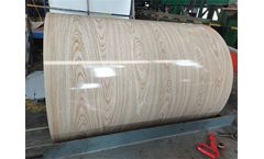 Wanzhi Steel - Wood Grain Steel Coil