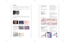Prolysate - Hand Wash and Hand Rub - Brochure