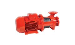 Salmson - Model PBS - Standardised Horizontal Pumps