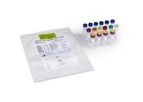 AmpFire - HPV High Risk Genotyping