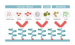 PuriBlood - P-Tex Technology