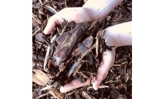 Heritage - Ornamental Bark Chip