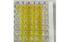 ISurBlock Solutions for Immunoassay