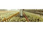 HP AviStart - Broiler Starter Feed