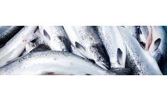 AquaSure - Model HP - Protein Source for Aquaculture