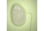 BEAR - Model Micro Series - Suture with Needle for Microsurgery for Training / Laboratory use