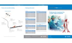 JOTEC E-tegra Abdominal Stent Graft Brochure