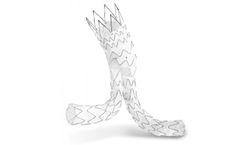 JOTEC - Model E-tegra - Abdominal Stent Graft