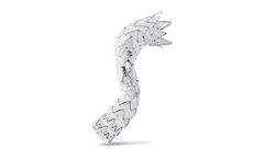 JOTEC - Model E-nside TAAA - Thoracoabdominal Stent Graft