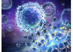 CAR-NK - Cell Therapies for Solid Tumors