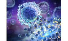 CAR-NK - Cell Therapies for Solid Tumors