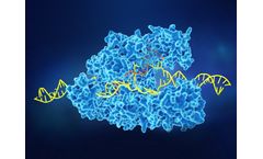 chRDNA - Genome-Editing Platform