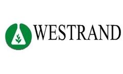 Wastewater Services