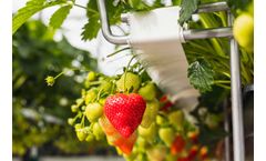 Metazet FormFlex - Crop Support System
