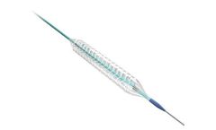 Lepu - Model NeoVas - Sirolimus-Eluting Bioresorbable Coronary Scaffold System