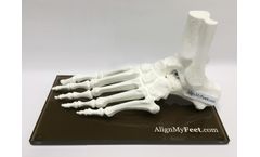 AlignMyFeet - Magnetic Foot Models