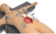 Thompson - General / Vascular System