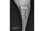 Securos - Tibial Plateau-Leveling Osteotomy (TPLO) System
