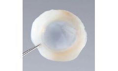 OptiGraft - Model V01013/V0106 - Sterile Cornea Graft