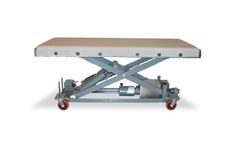 Shanks - Modified Portable Floor Veterinary Surgery Table