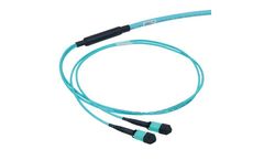 AFL - Model MPO - Cable Assemblies