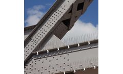 Plastic Base + Stainless Steel Bird Spikes
