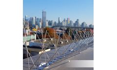 Stainless steel bird spikes