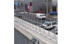 Stainless Steel Bird Spikes