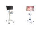 SIMEON - Model Sim.VID - Mobile Video Visualization Technology
