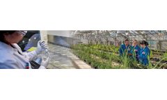 Research & Development Services