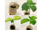 BioConsortia - Pest Management