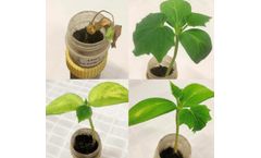BioConsortia - Pest Management