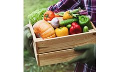 BioConsortia - Biostimulants