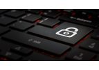 Cyber Security Services