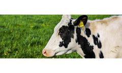 Scottish startup approach Integrated Graphene to develop a Bovine Tuberculosis sample preparation device - Case study