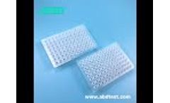 0.2mL PCR Plate High Mouth China Supplier - Video